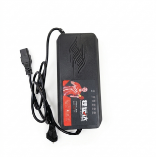 شاحن ليد اسيد 72 فولت 3 امبير مخرج كمبيوتر