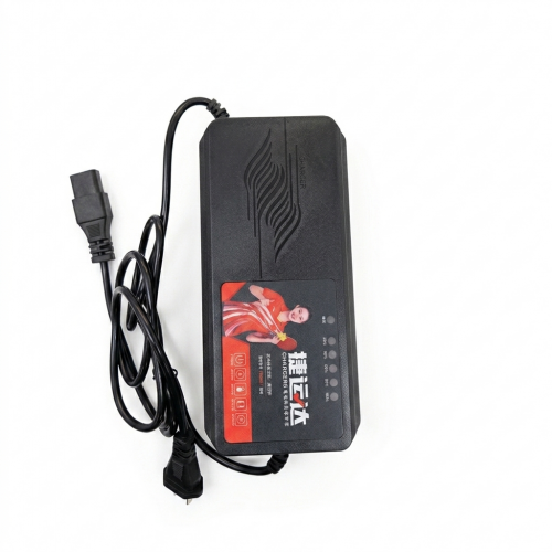 شاحن ليد اسيد 72 فولت 3 امبير مخرج كمبيوتر